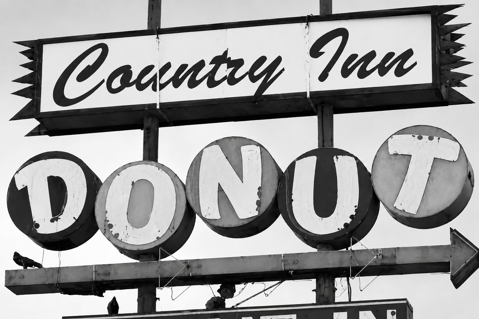 The Donut Shop